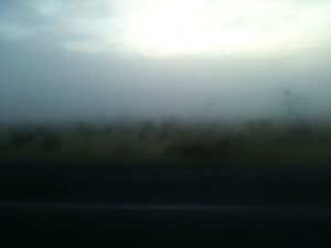 Memoria. Fotografía de Rosa Delia Guerrero. 